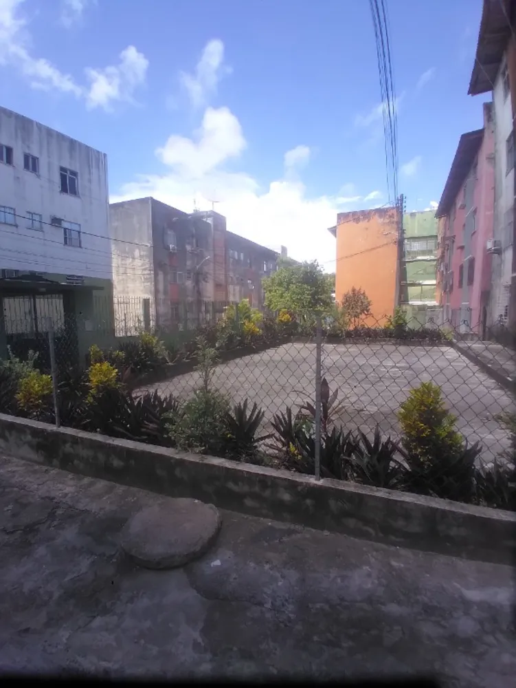 Apartamento, 3 quartos, 65 m² - Foto 11