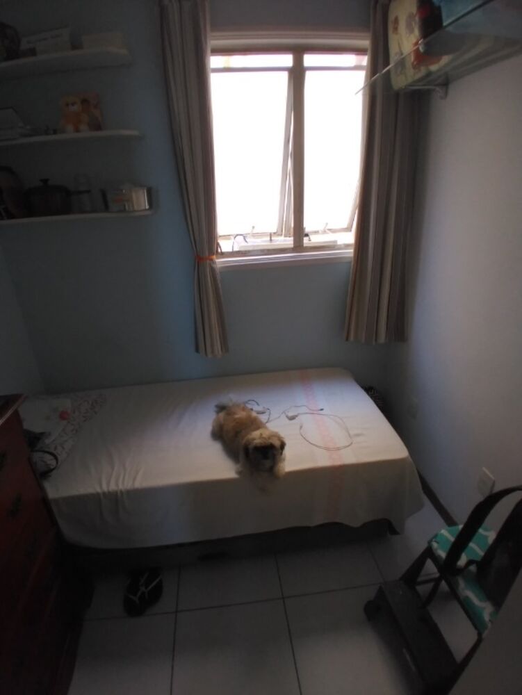 Apartamento, 3 quartos, 90 m² - Foto 5