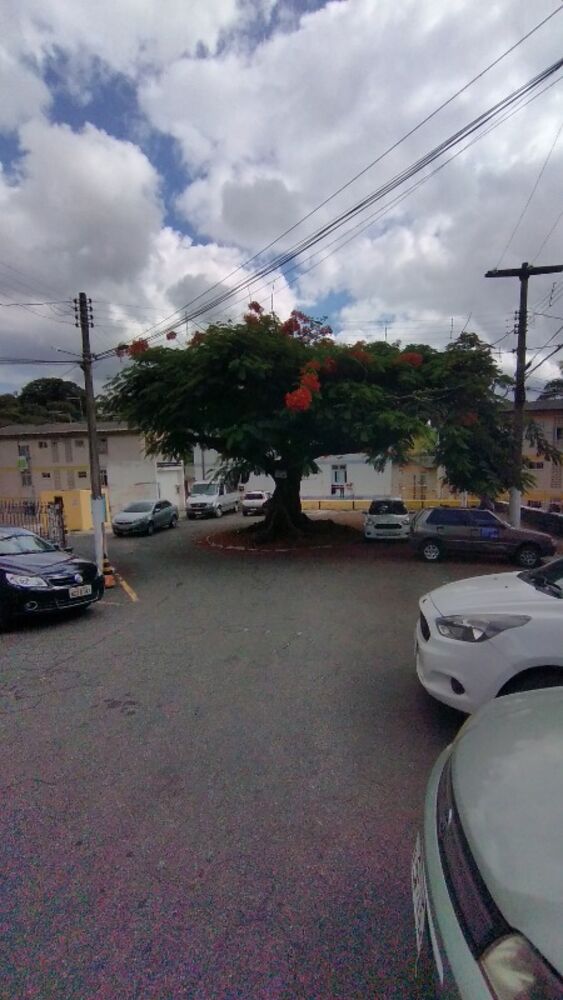 Apartamento, 3 quartos, 70 m² - Foto 1