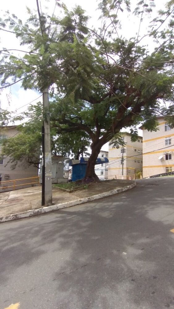 Apartamento, 3 quartos, 70 m² - Foto 19