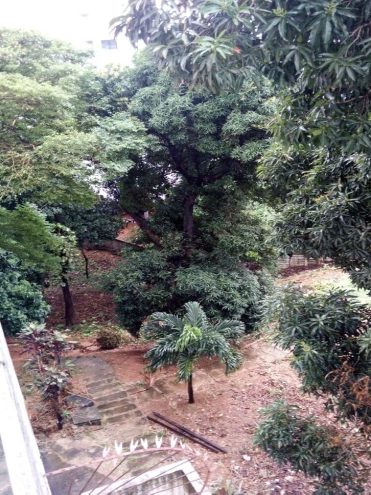 Apartamento, 3 quartos, 70 m² - Foto 13