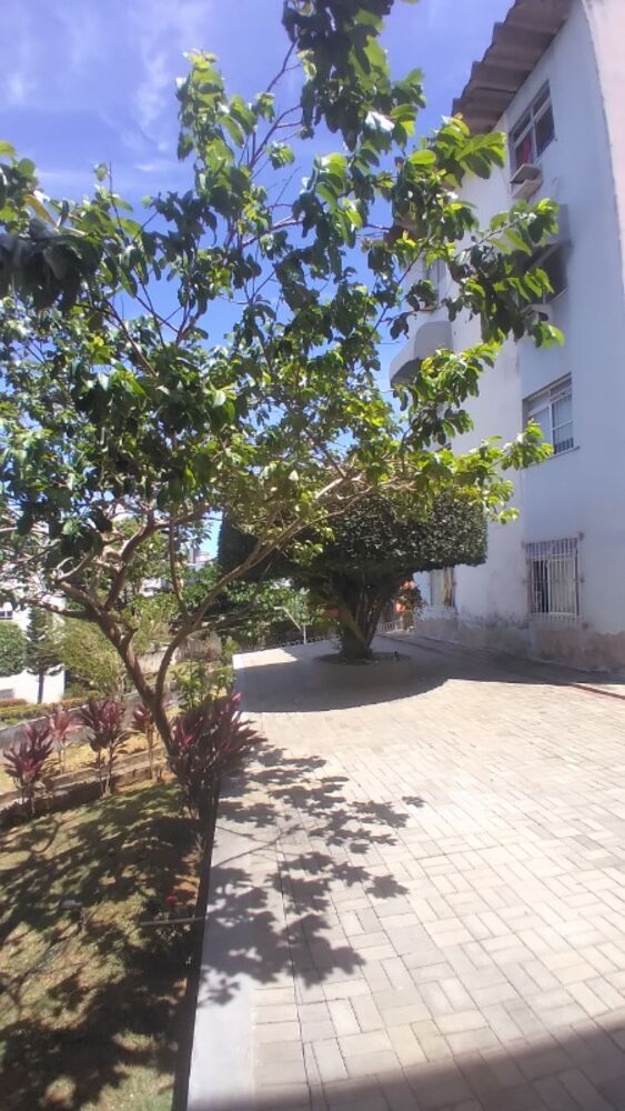 Apartamento, 3 quartos, 90 m² - Foto 9