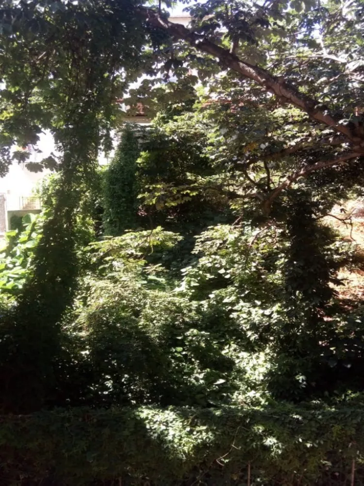 Apartamento, 3 quartos, 75 m² - Foto 12