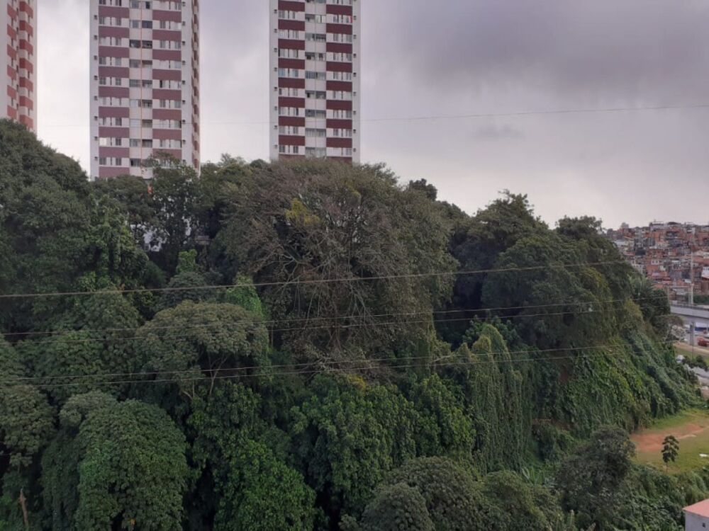 Apartamento, 3 quartos, 80 m² - Foto 6