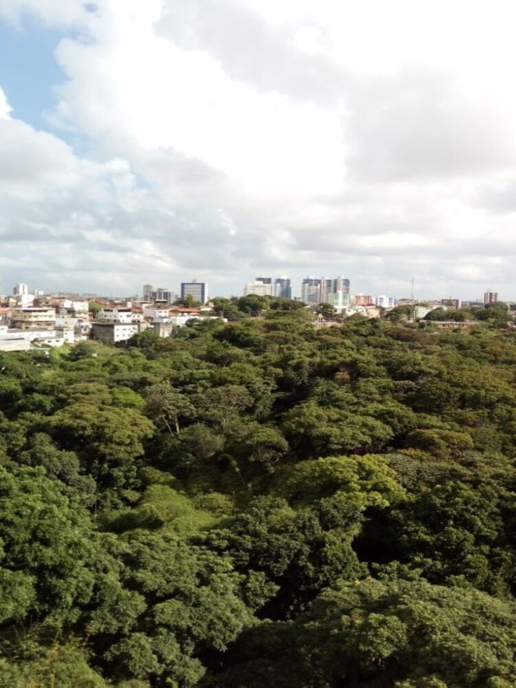 Apartamento, 3 quartos, 82 m² - Foto 13