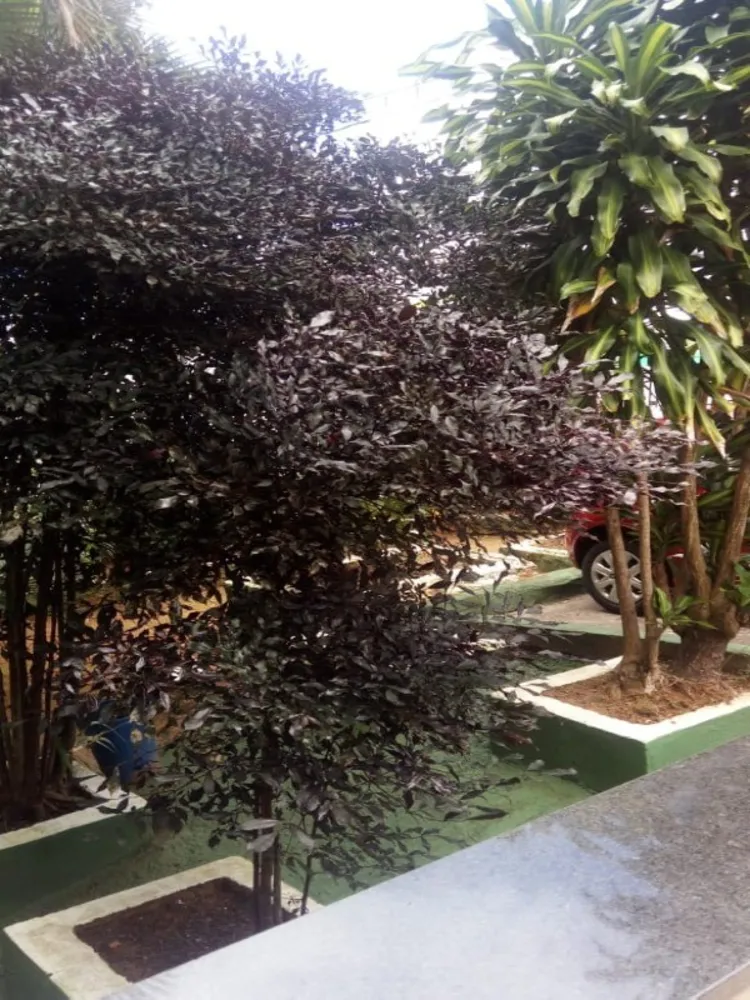 Apartamento, 3 quartos, 65 m² - Foto 8