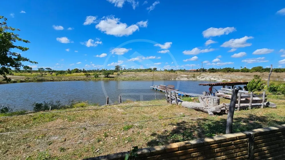 Fazenda, 100 hectares - Foto 4