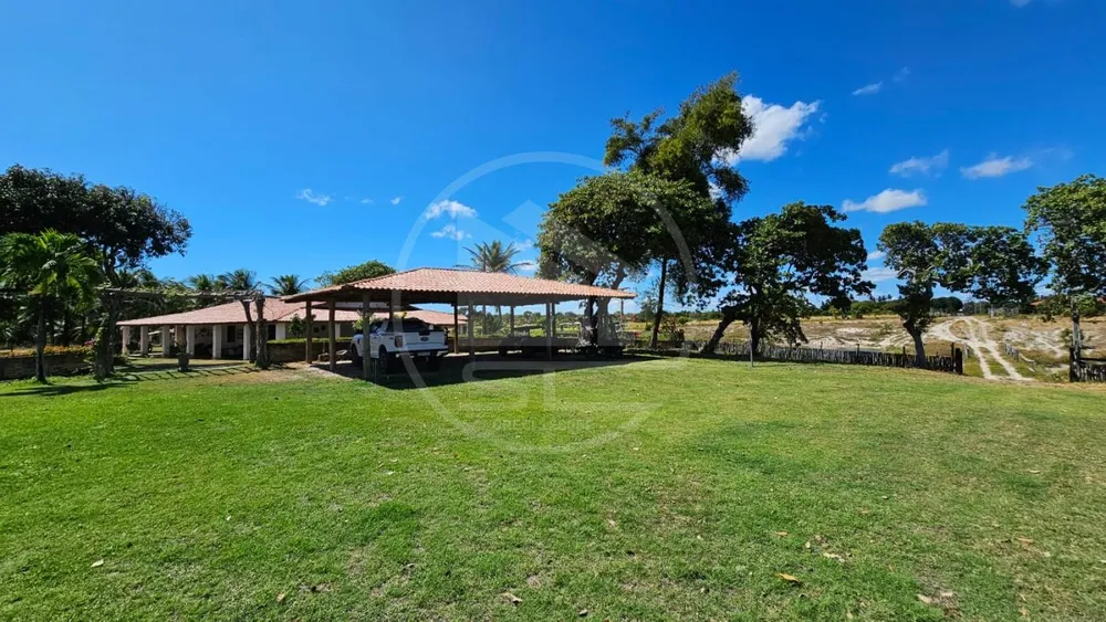 Fazenda, 100 hectares - Foto 3