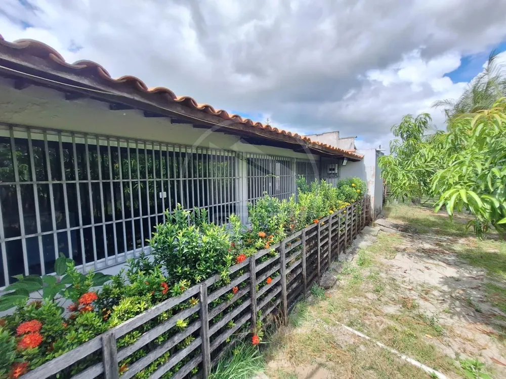 Chácara, 3 quartos, 1800 m² - Foto 3