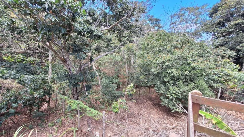 Casa, 4 quartos, 3200 m² - Foto 4