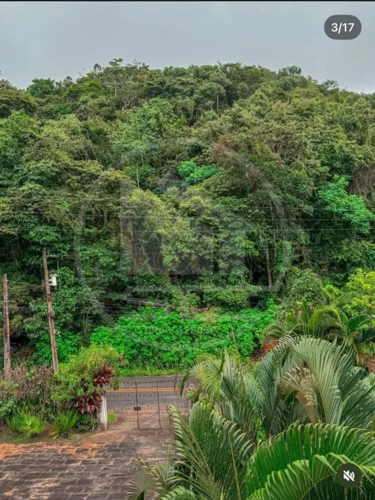 Chácara, 3 quartos, 2 hectares - Foto 4