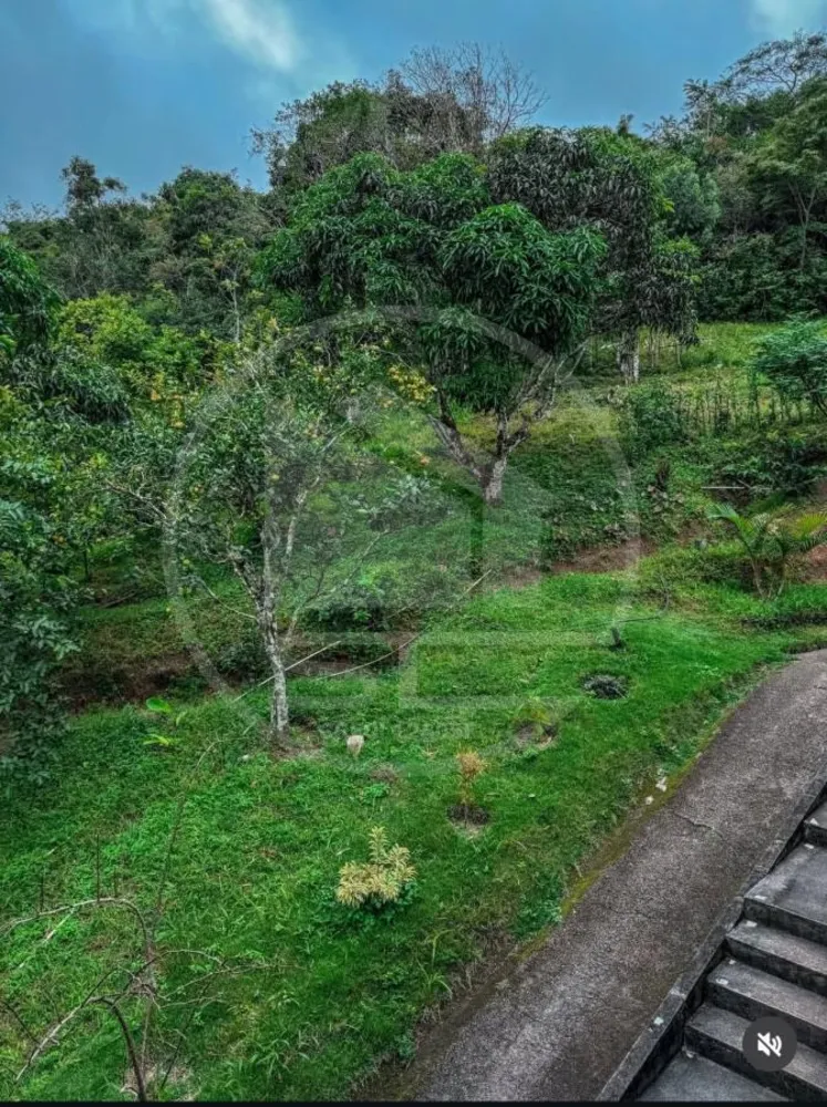 Chácara, 3 quartos, 2 hectares - Foto 2