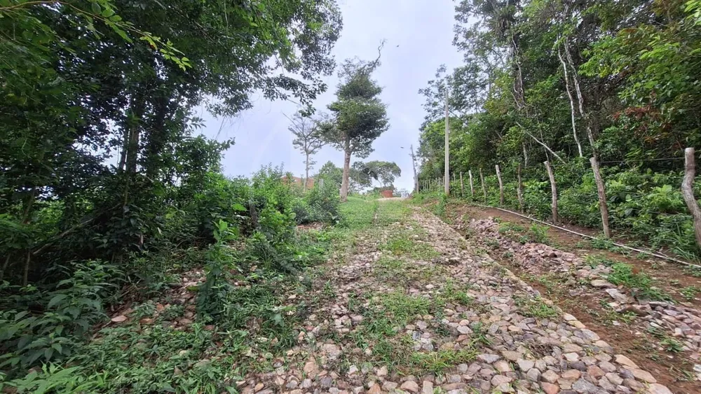 Terreno, 1740 m² - Foto 2