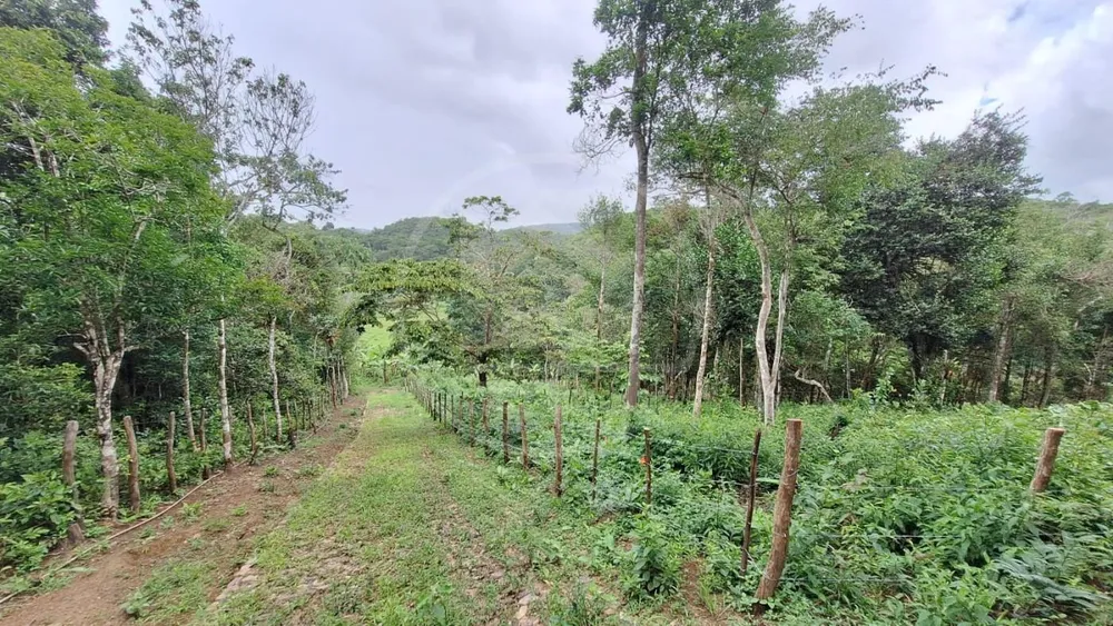 Terreno, 1740 m² - Foto 4