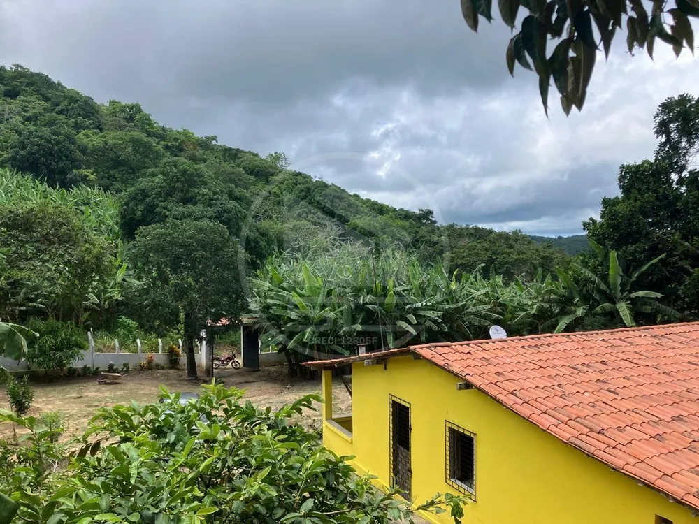 Sítio, 3 quartos, 3000 m² - Foto 1