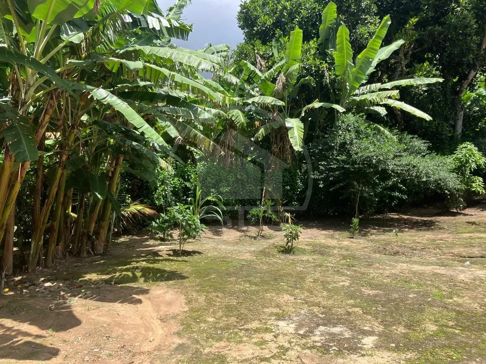 Sítio, 3 quartos, 3000 m² - Foto 4