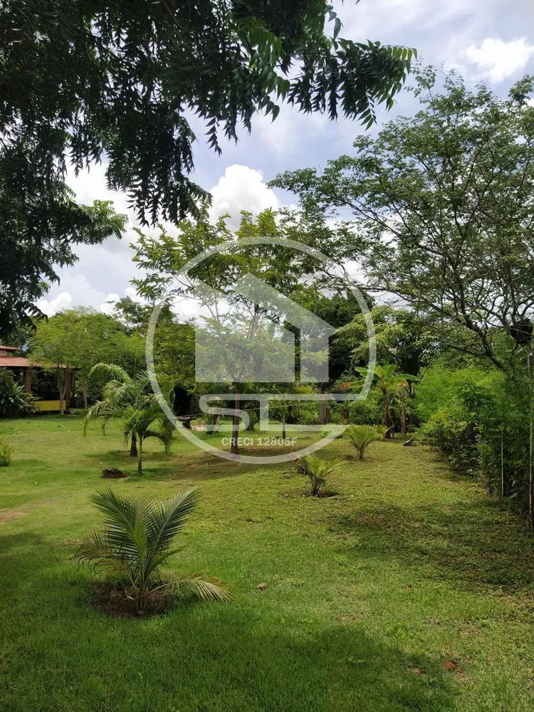 Fazenda, 13 hectares - Foto 4