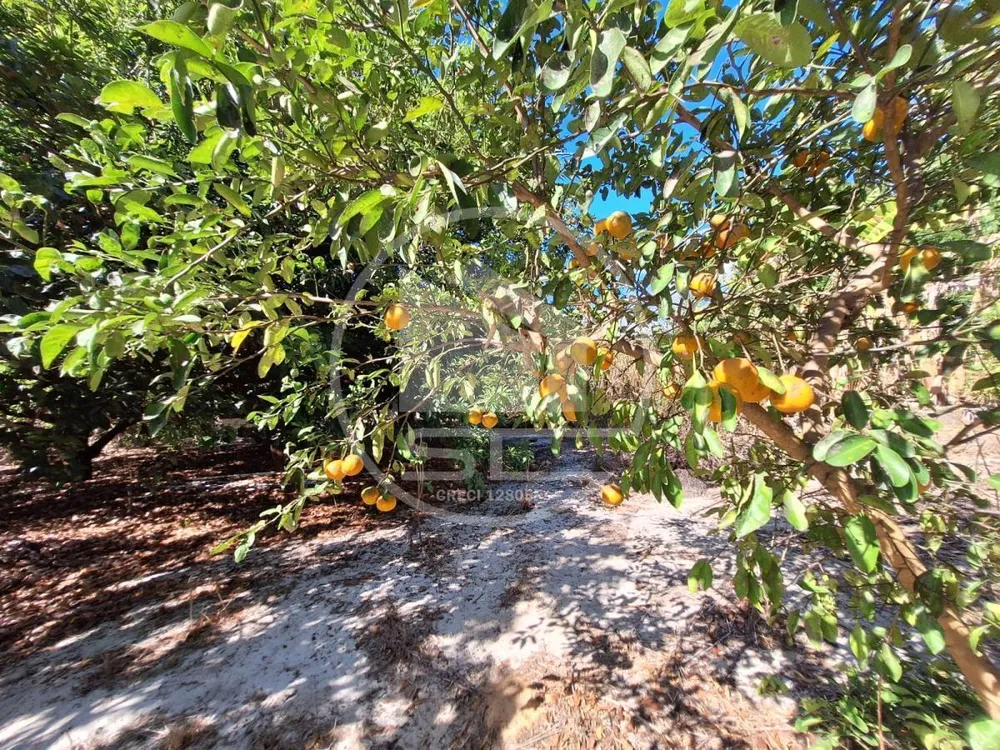 Sítio, 7 quartos, 2 hectares - Foto 2