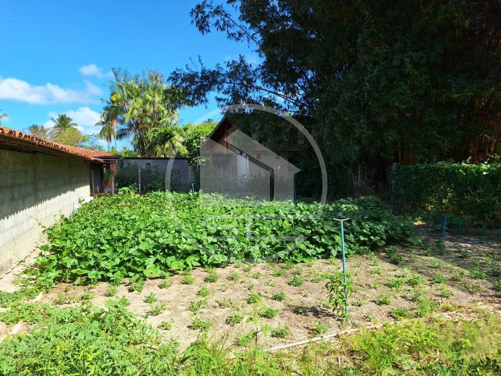 Sítio, 7 quartos, 2 hectares - Foto 4