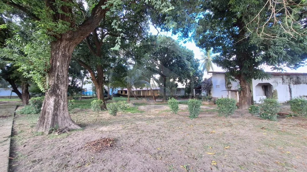 Terreno, 10000 m² - Foto 4