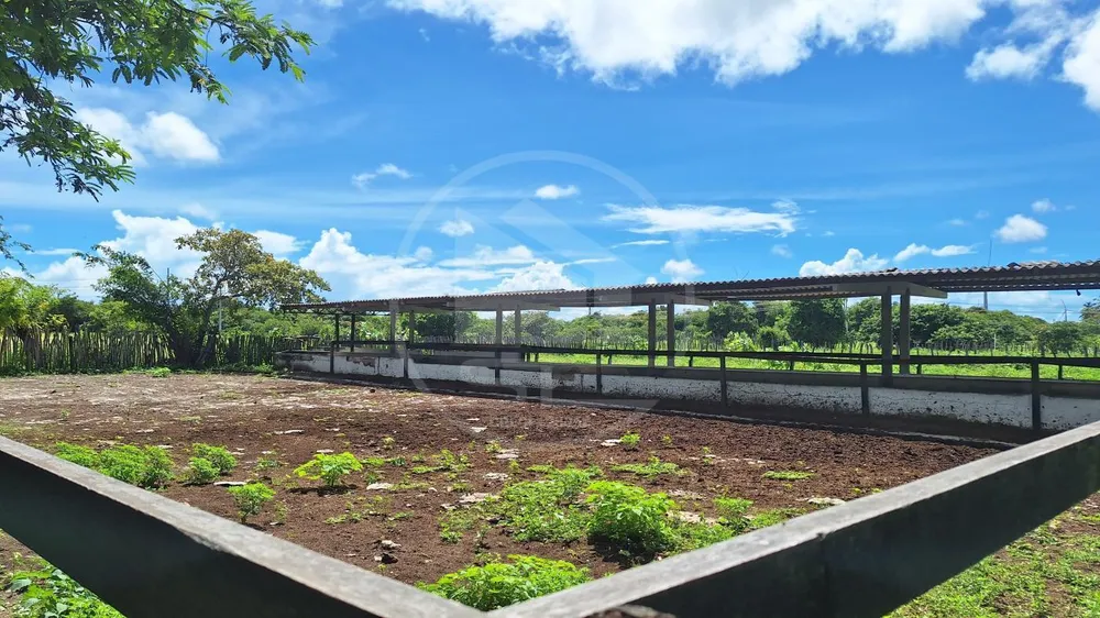 Fazenda, 497 m² - Foto 2