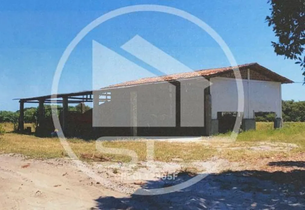 Fazenda, 800 hectares - Foto 3