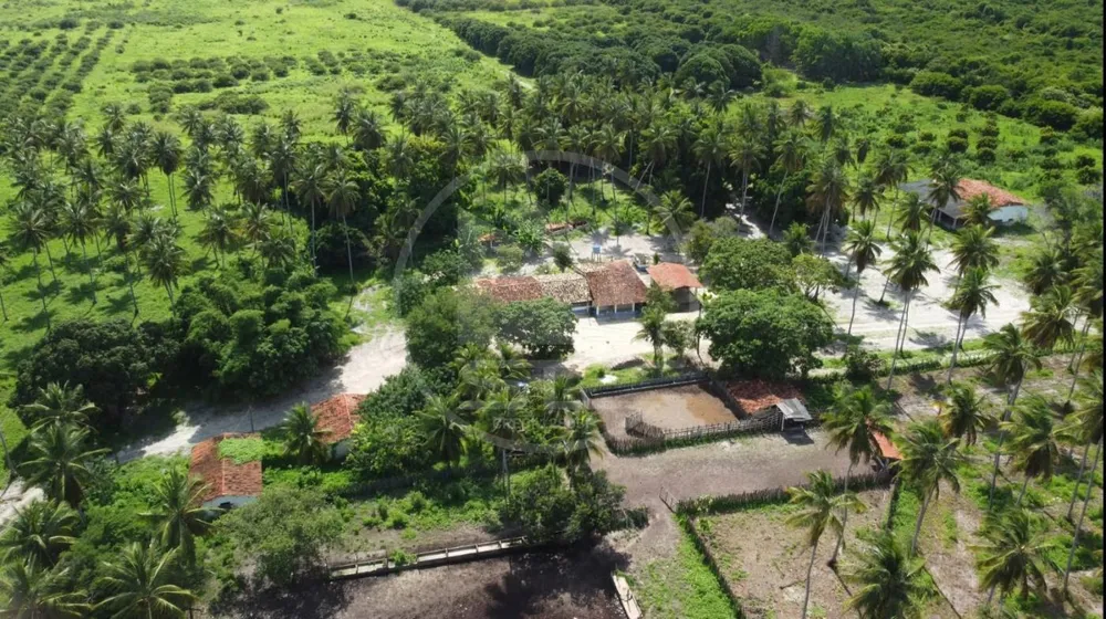 Fazenda, 800 hectares - Foto 1