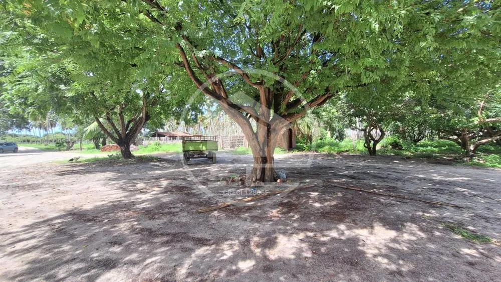 Fazenda, 800 hectares - Foto 4