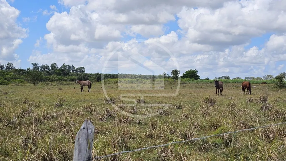 Fazenda, 20 hectares - Foto 3