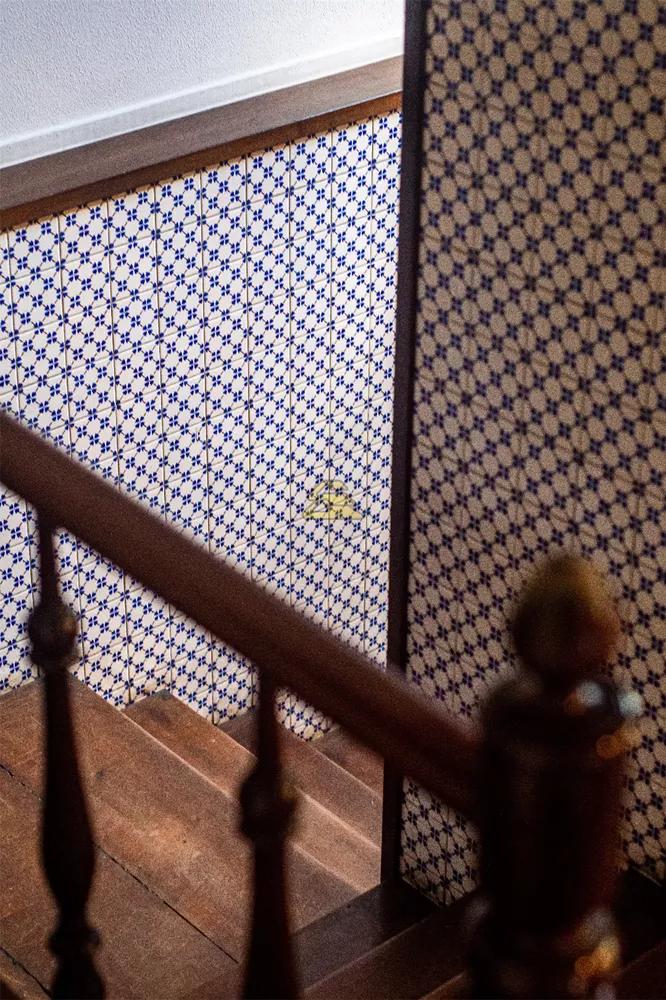 Casa, 5 quartos, 394 m² - Foto 21