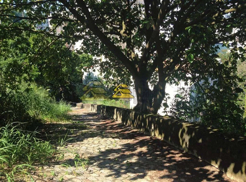 Terreno, 10000 m² - Foto 11