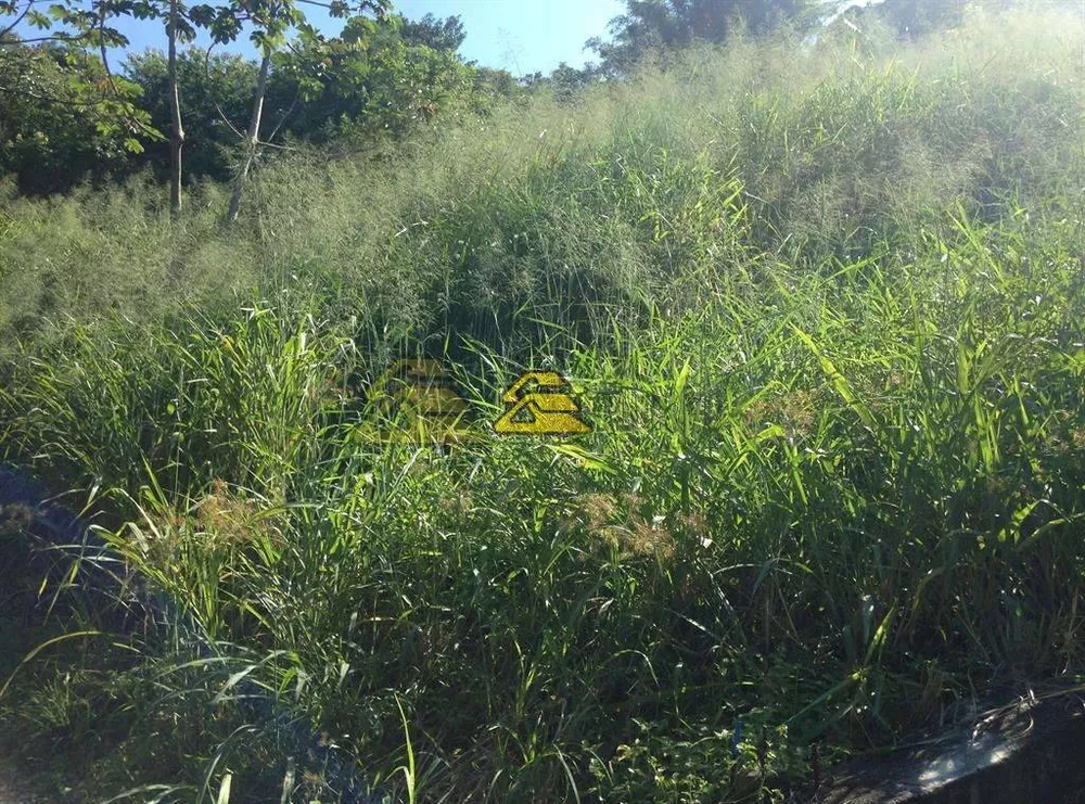 Terreno, 10000 m² - Foto 9