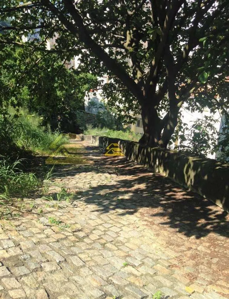 Terreno, 10000 m² - Foto 7