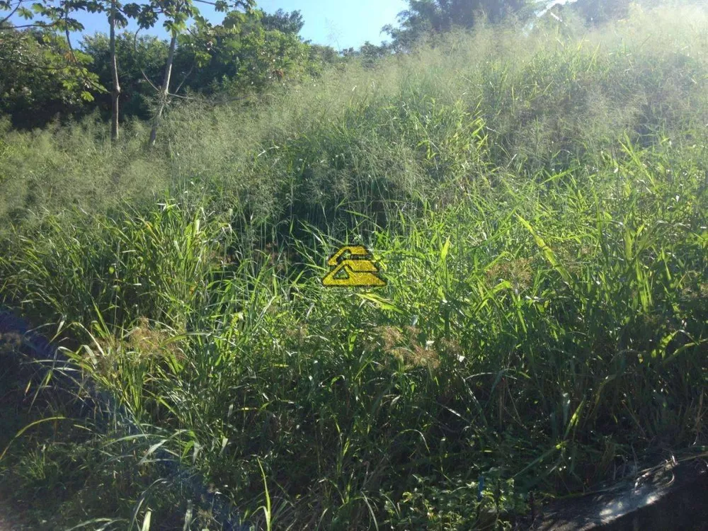 Terreno, 10000 m² - Foto 19