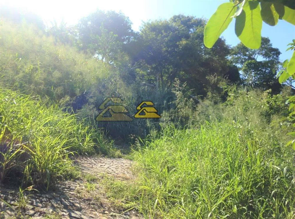 Terreno, 10000 m² - Foto 8