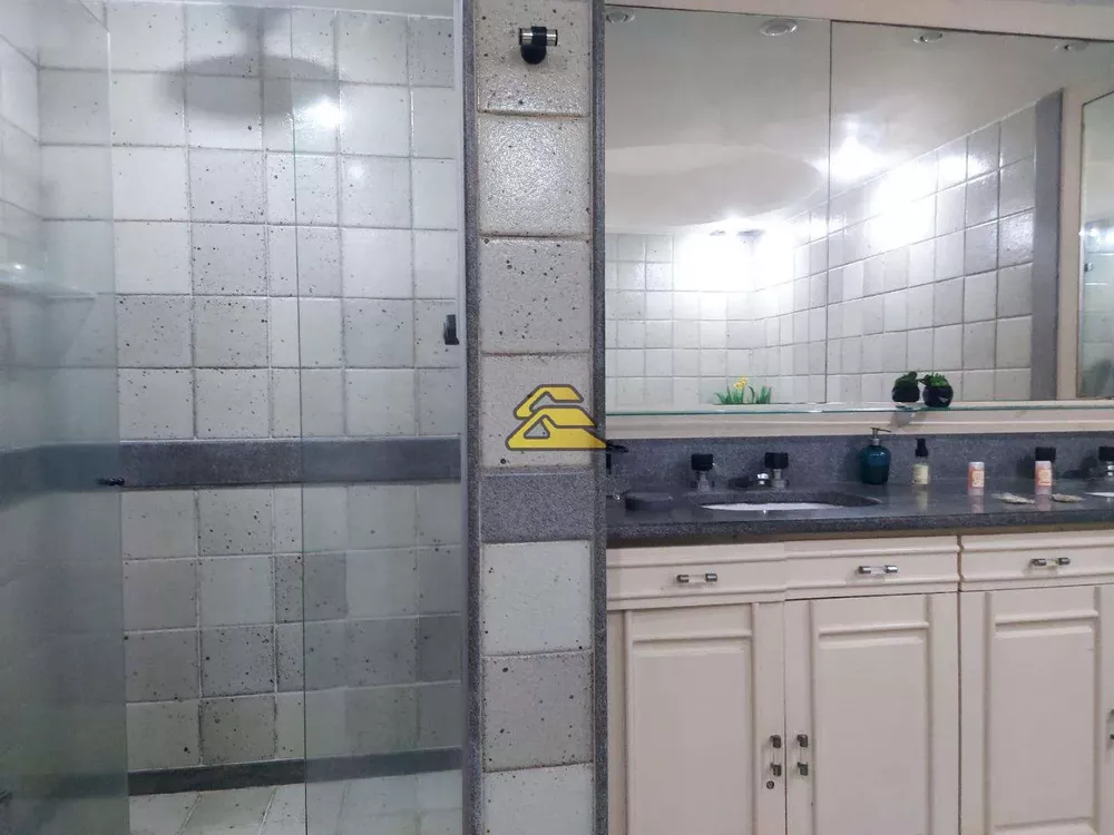 Apartamento, 4 quartos, 225 m² - Foto 33