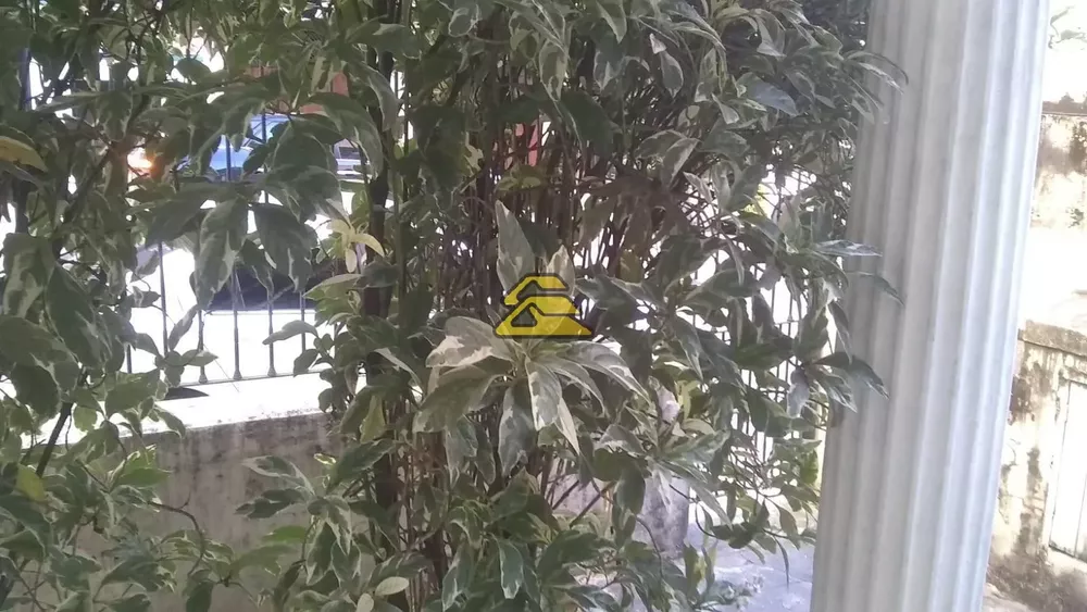 Casa, 6 quartos, 360 m² - Foto 29