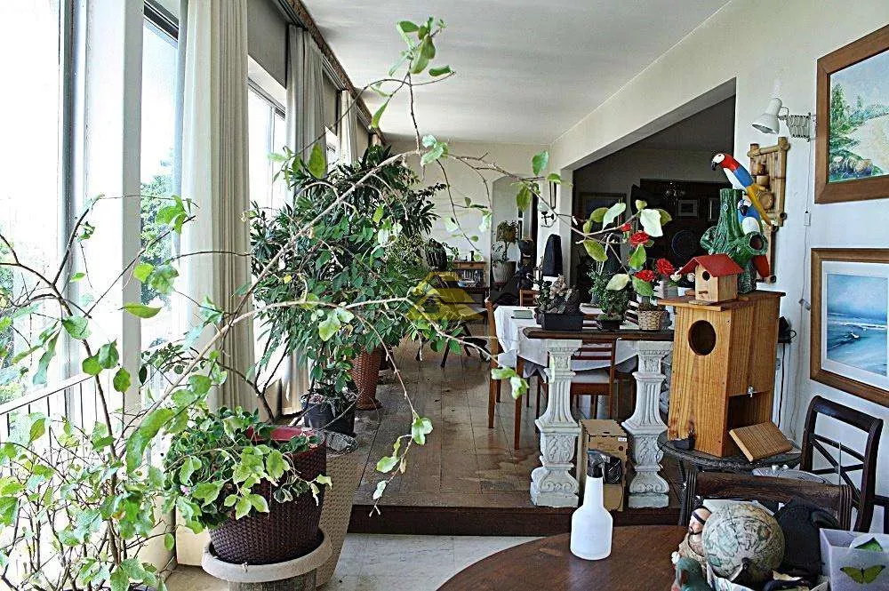 Apartamento, 3 quartos, 500 m² - Foto 10