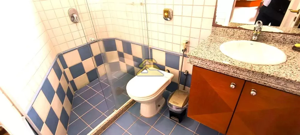 Casa, 4 quartos, 351 m² - Foto 24