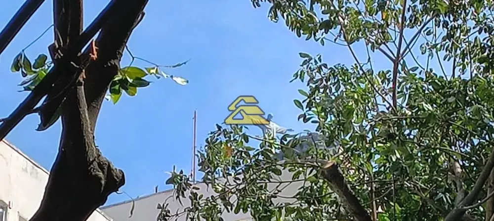 Casa, 4 quartos, 669 m² - Foto 1