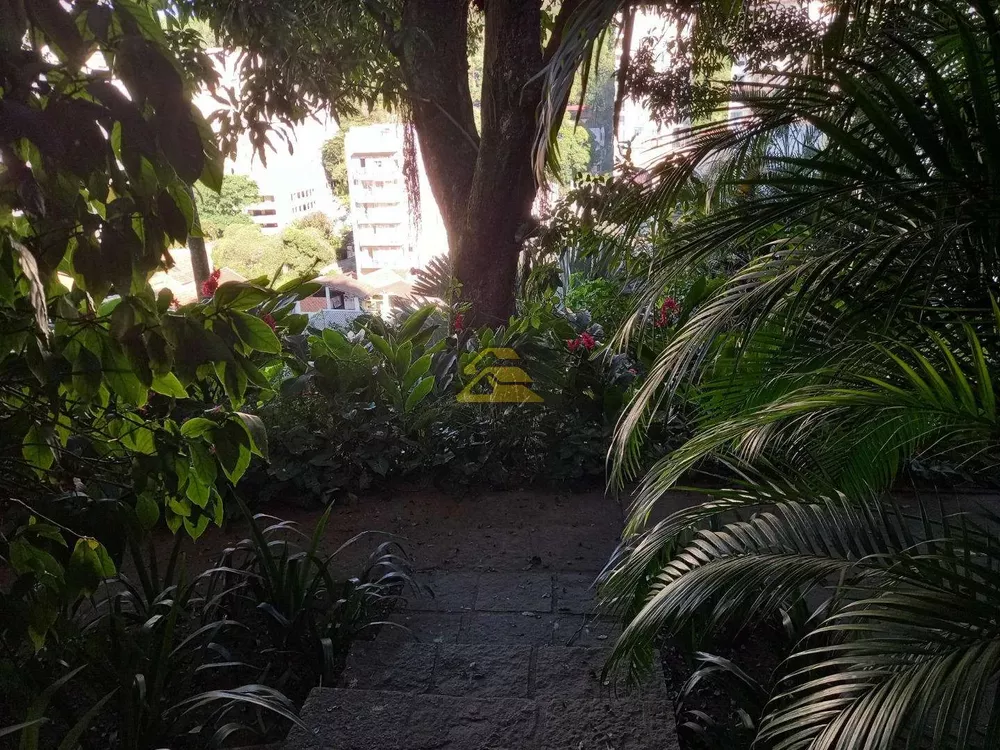 Casa, 4 quartos, 740 m² - Foto 2