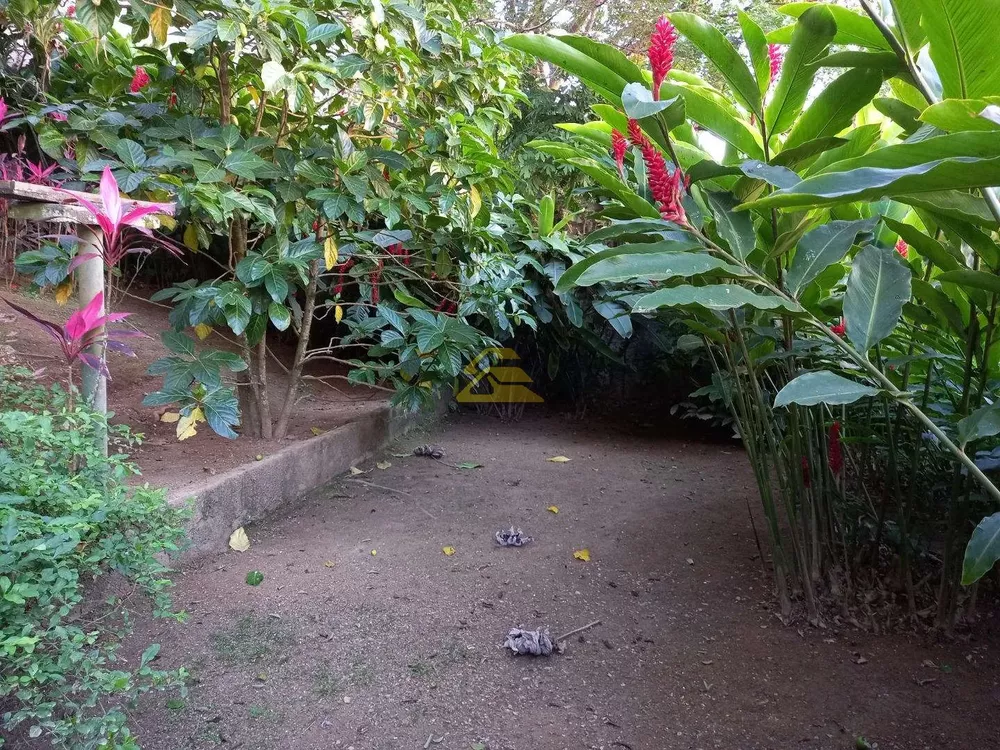 Casa, 4 quartos, 740 m² - Foto 12