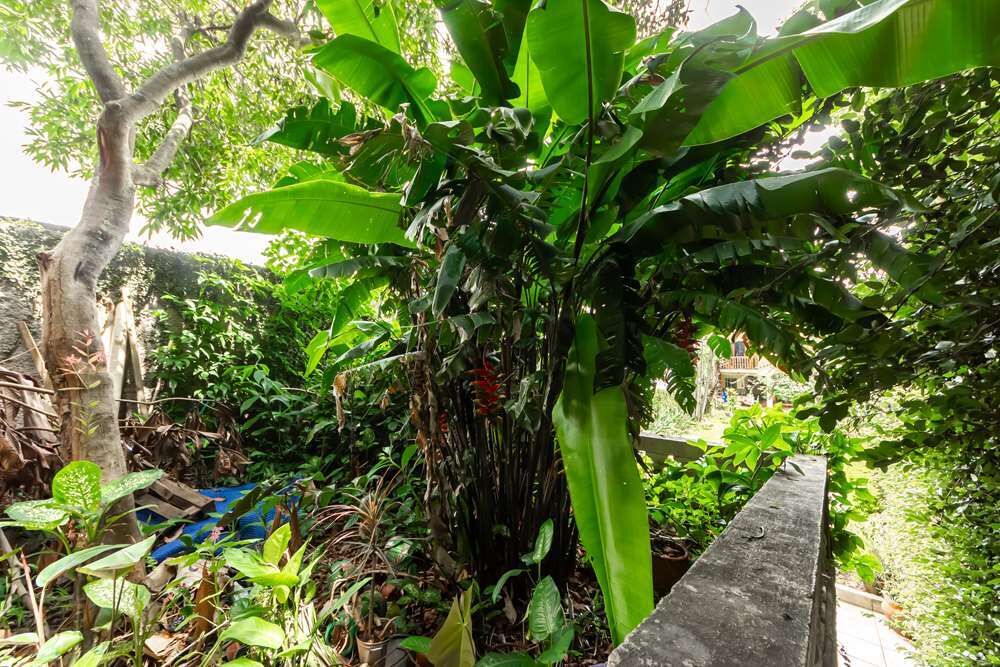 Casa, 4 quartos - Foto 2