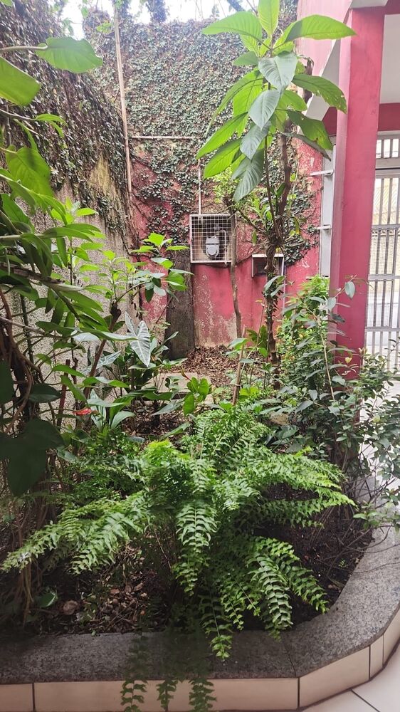 Casa, 3 quartos - Foto 21
