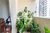 Apartamento, 2 quartos, 63 m² - Foto 3