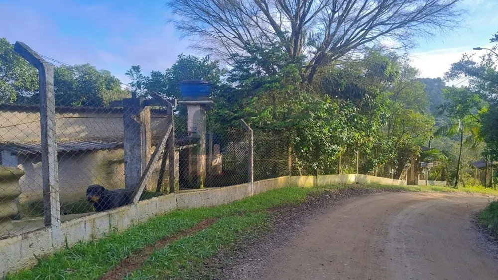 Chácara, 2 quartos, 5800 m² - Foto 8