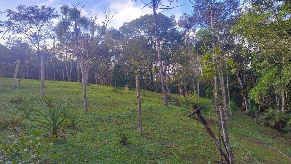 Chácara, 2 quartos, 5800 m² - Foto 2