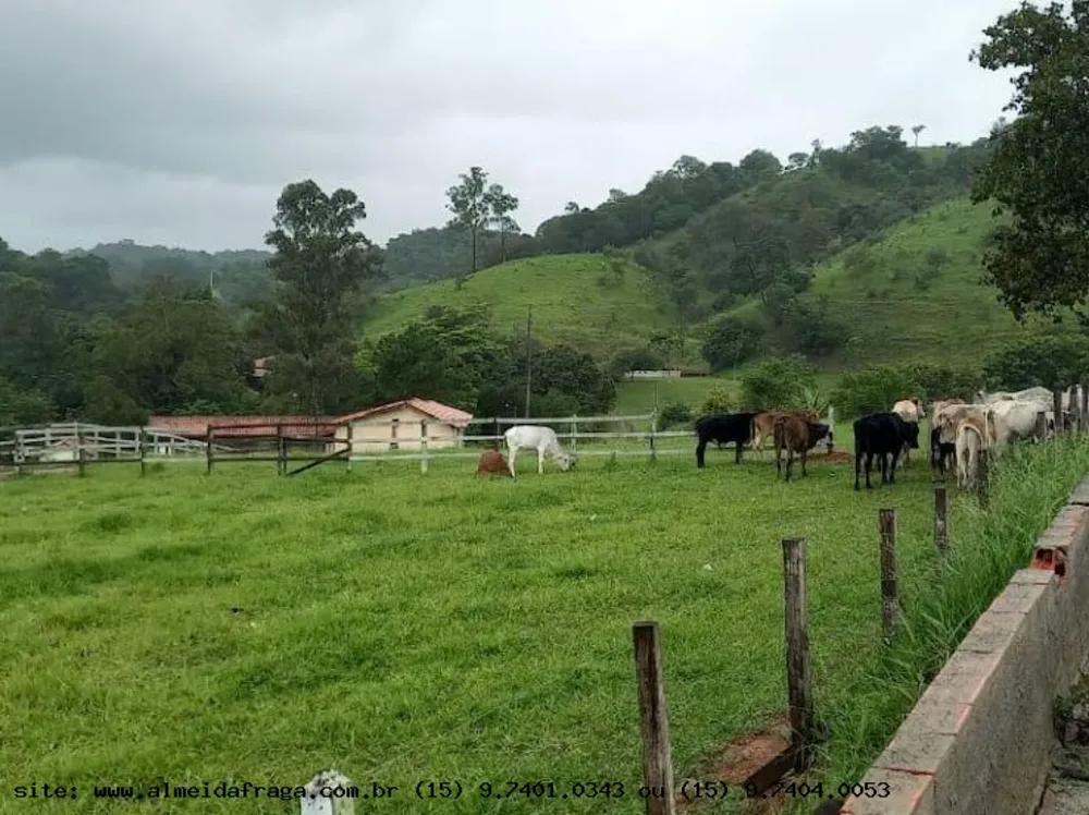 Terreno, 7 hectares - Foto 4