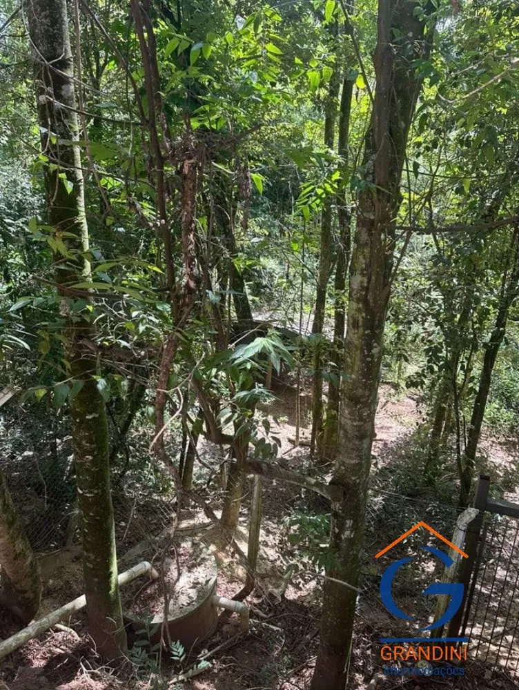 Chácara, 3 quartos - Foto 13