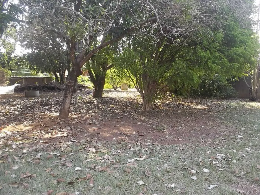 Chácara, 3 quartos - Foto 16